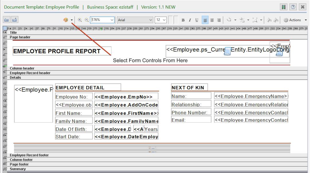 Select Report Form Controls.jpg